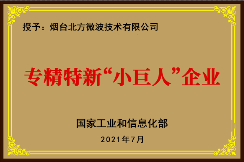 專精特新”小巨人“企業