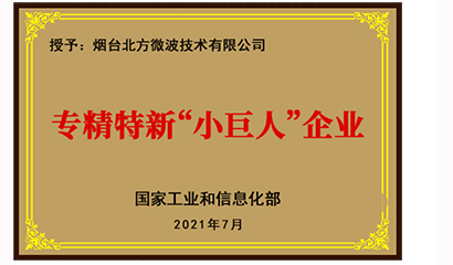 專精特新”小巨人“企業